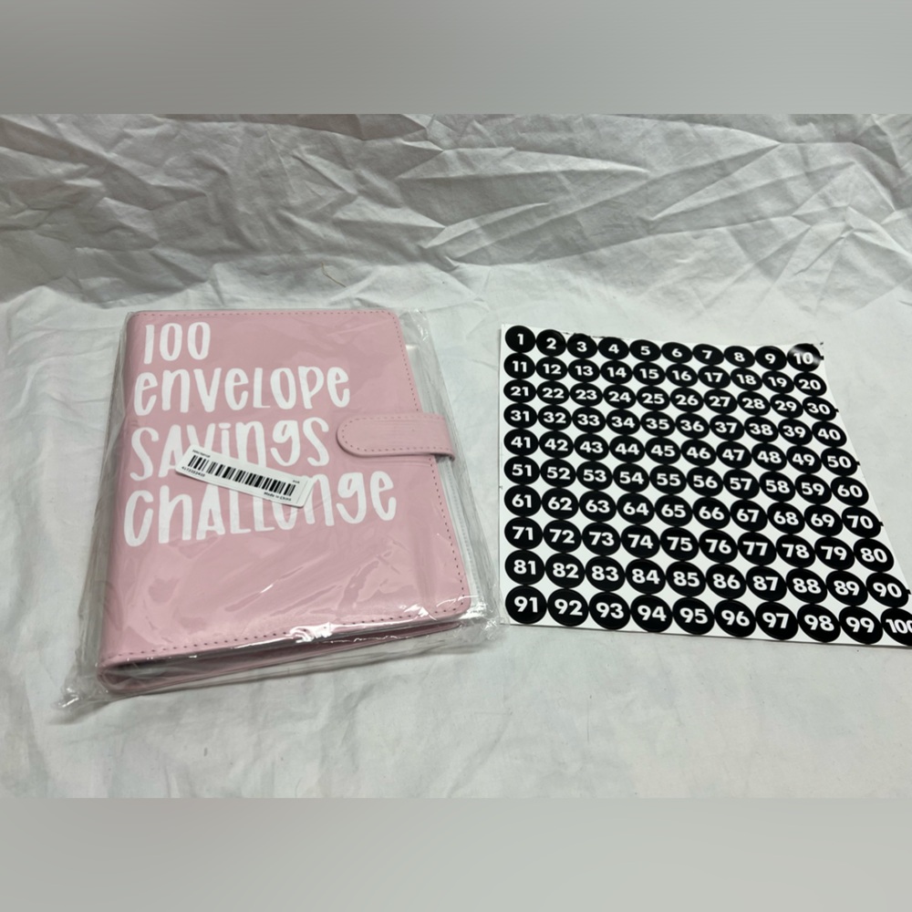Savings money book pink